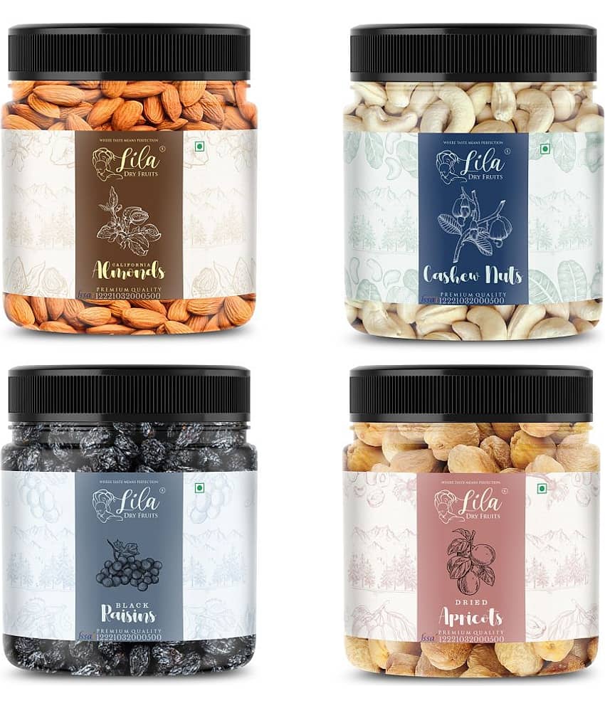 LILA DRY FRUITS Mixed Dried Fruits Combo Pack 100 grams x 4 Almond Black Raisin Cashew Apricot Premium Healthy Snack for Daily Use Perfect for Giftings