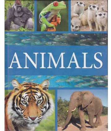 ANIMALS By EDITORIAL BOARD