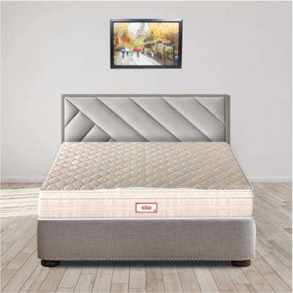 Coirfit Spine Fine Orthopedic Euro Top With Rebotech Technology 5 Inch Double Size Bonded Foam Mattress (72X48 Inches) Premium Knitted Fabric, Soft Relax | 5-Year Warranty