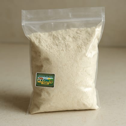Tapaswini Nag Prime's instant idli mix