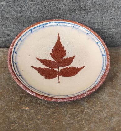 Saucer plate Saucer plate
