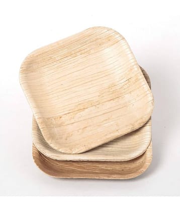 Agri Club Areca Leaves 8x8 Inch Square Flat Disposable Plates (Set of 25)
