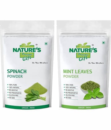 Natures Gift Spinach Powder, Coriander Powder, Curry Powder & Mint Powder - 100 GM Each Powder 100 gm Pack of 4