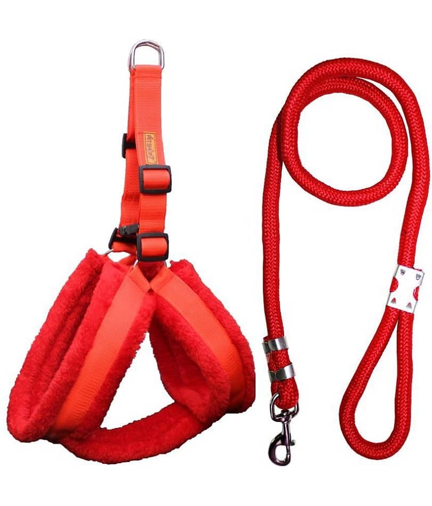 Petshop7 - Red Dog Combo (Medium)