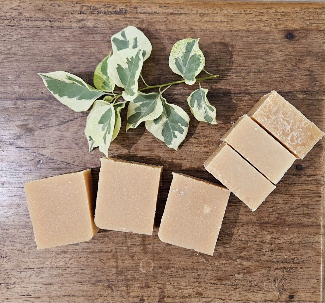 Rhassoul Clay Shampoo Bar