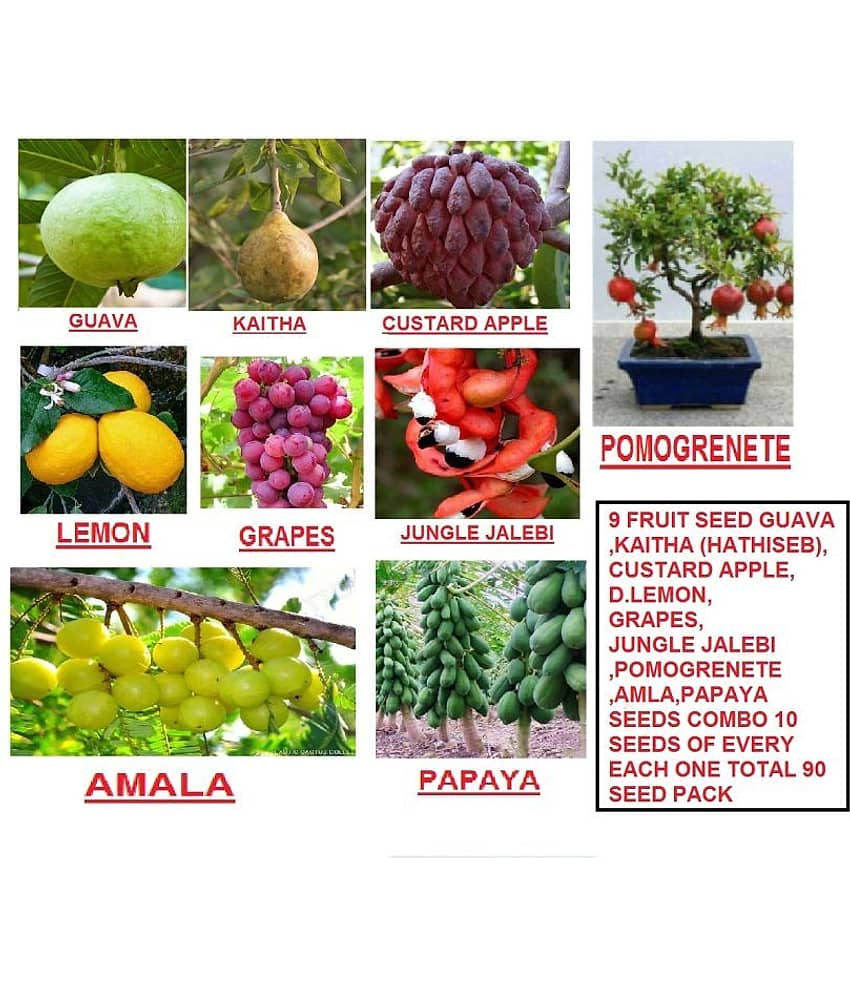 9 FRUIT SEEDS MEGA COMBO (AMLA, PAPAYA, GRAPES, POMOGRENETE, GUAVA, CUSTARD APPLE, LEMON, KAITHA, JUNGLE JALEBI) 10 SEEDS OF EACH | PACK OF 90 SEEDS WITH INSTRUCTION MANUAL