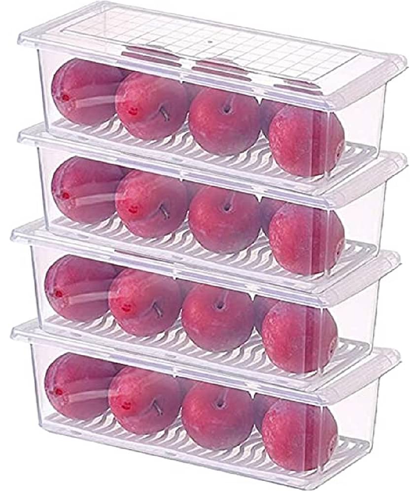 Analog Kitchenware Veg./Fruit/Fish/Meat Plastic Transparent Food Container ( Set of 4 )