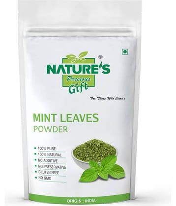 Nature's Gift Mint Leaves Powder 500 gm