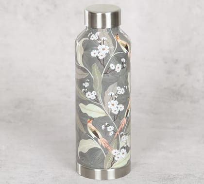 India Circus Bird Land Paradise Big Steel Bottle