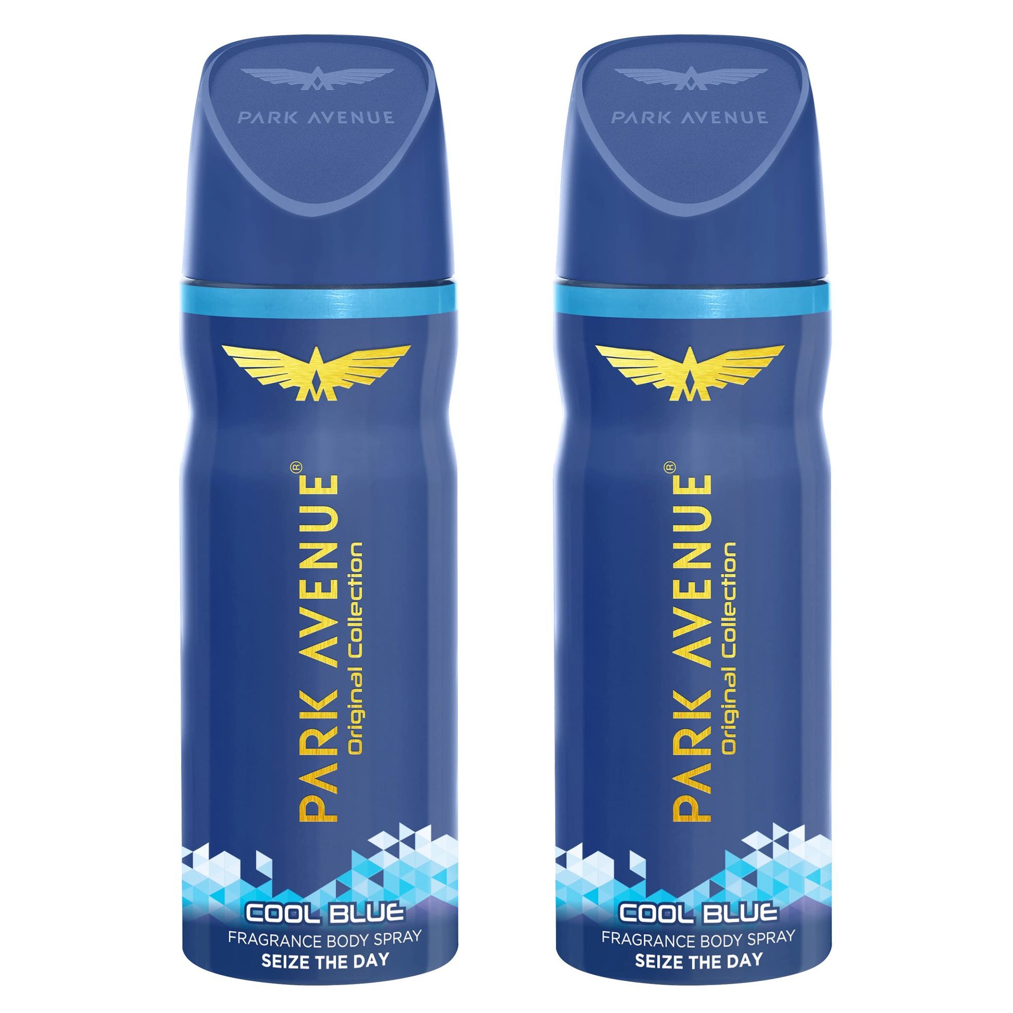 Park Avenue Men's Classic Deo, Cool Blue, 100g