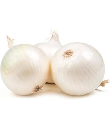 Onion White Seeds, Onions, Kanda, Round Shaped Pyaaz Seeds 200 Seeds