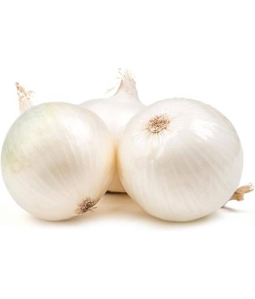 Onion White Seeds, Onions, Kanda, Round Shaped Pyaaz Seeds 200 Seeds