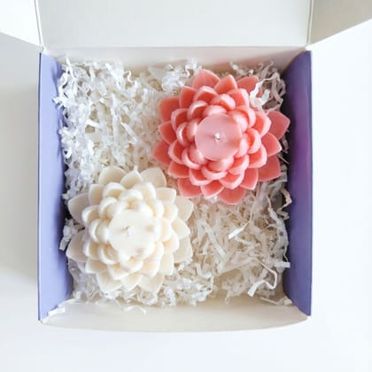 Big Lotus Soy Candle (Set of 2) – Japanese Cherry Blossom Fragrance