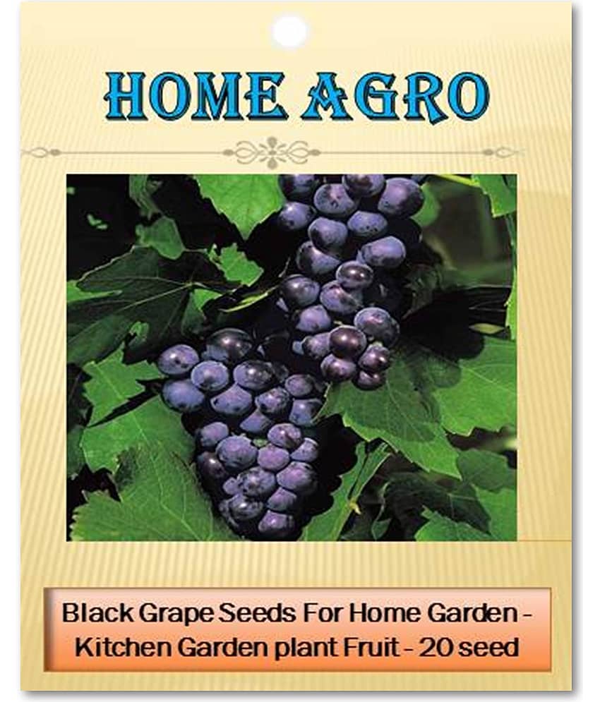 homeagro - Fruit Seeds ( 20 seeds )