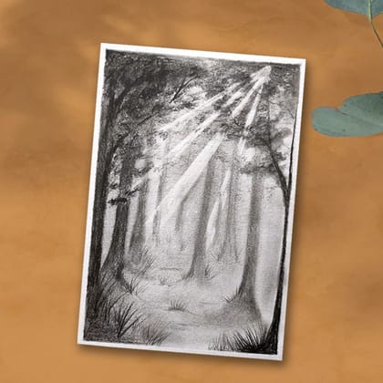 Pencil Shading on  A4 Paper  Diy Kit by Penkraft