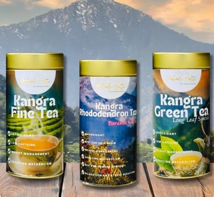 Kangra Tea Combo, 170gms (Buransh Tea, Green Long Leaf Tea, Premium Fine Tea)