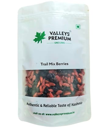 Valleys Premium Trail Mix Berries 400 Grams (Strawberries, Blueberries, Cranberries, Gojiberries)