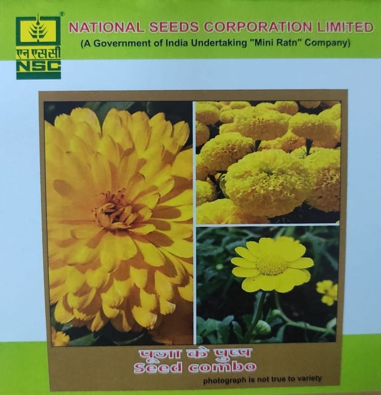 NSC  Pooja Flower seed  yellow Combo