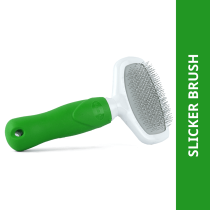 Basil Slicker Brush for Dogs and Cats Basil Slicker Brush for Dogs and Cats - M