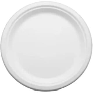 10 Inch Sugarcane Bagasse Plain Round Plates - 20 Pcs