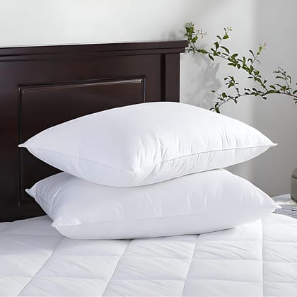 OONA ELE LAZY DAZY 17X27 PILLOW FILLER OONA ELE LAZY DAZY 17X27 PILLOW FILLER