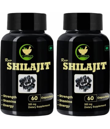 FIJ AYURVEDA Raw Shilajit Capsule for Men & Women - 500mg 60 Capsules (Pack of 2)