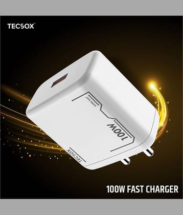 Tecsox Type C 8A Wall Charger