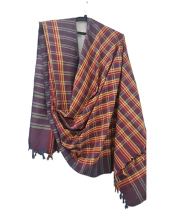 Dhaga Vishwas Ka Multicolours Handloom Cotton Stole