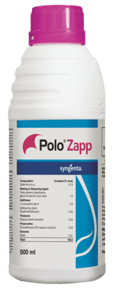 POLO ZAPP