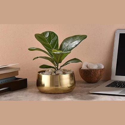 Table Top Flower pot golden finish