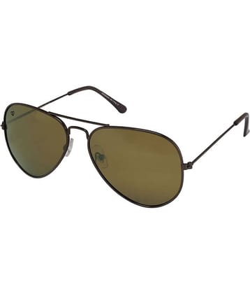 Walrus - Brown Pilot Sunglasses ( WS-AST-090909 )