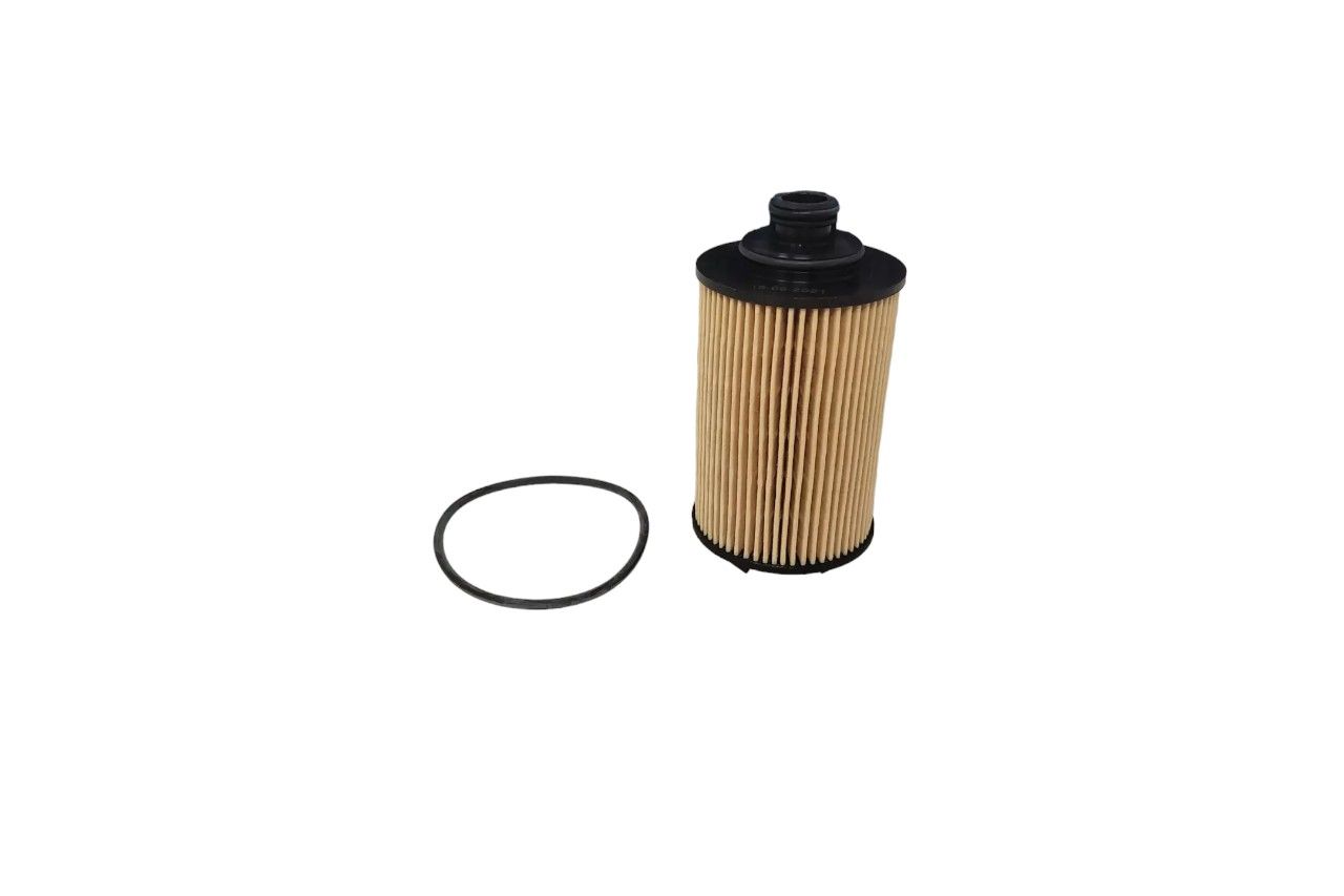 Mahindra Oil Filter AV851024