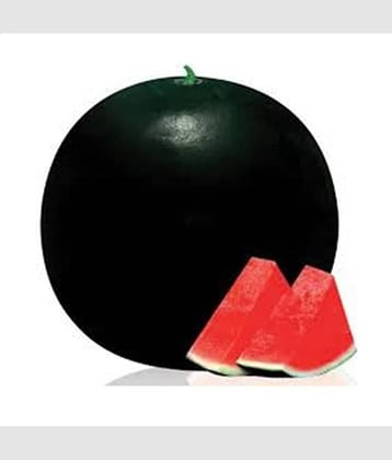 PARTHVA SEEDS Black Watermelon Fruit ( 50 Seeds )