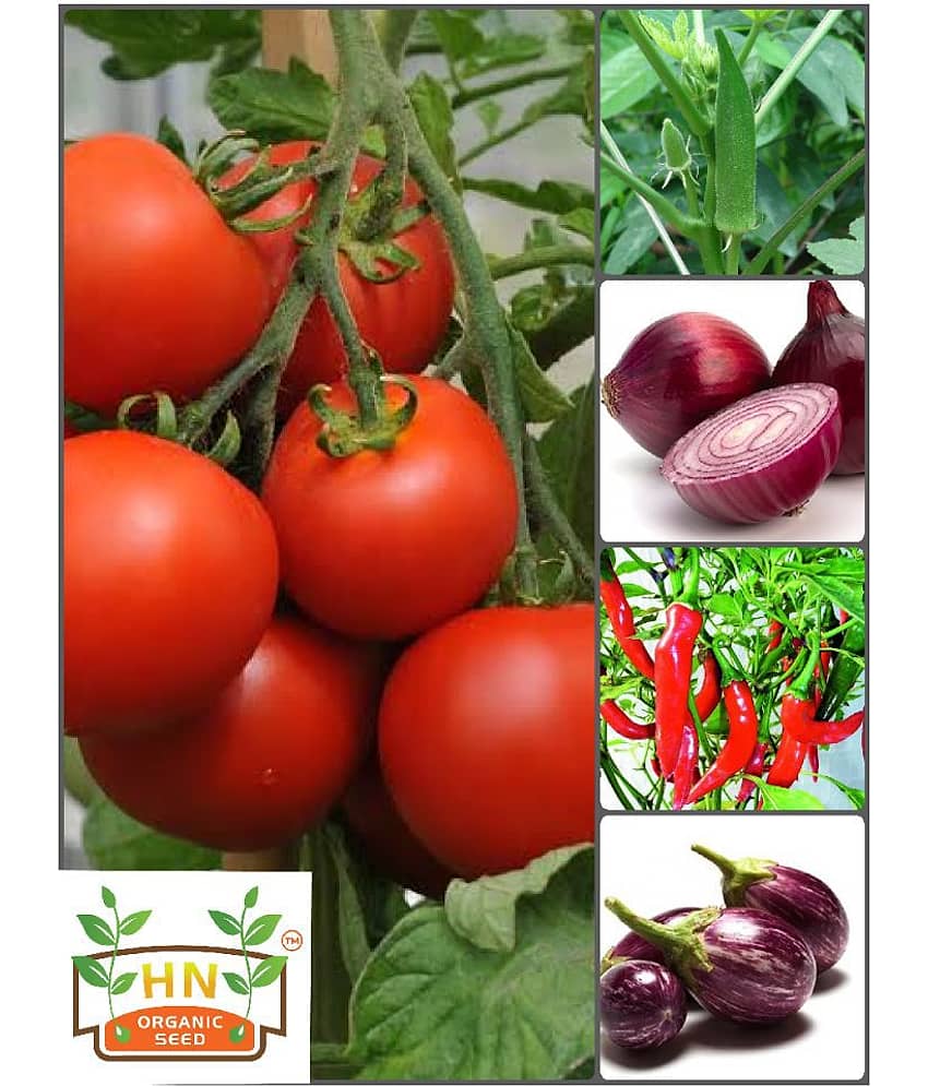 Vegetable Seeds combo for all Season - 65 + seed with Instruction Manual