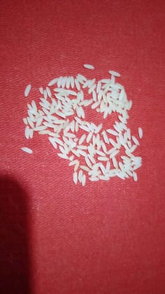 Huskin Rice  - jeerakathi