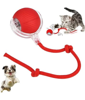 KRAMOX Pet Ball Automatic Toy - Cat/Dog Dancing Toy for Indoor Smart Silicone Rolling Ball with Tail, Obstacle Avoidance and Motion Activated,Kitten Toys for Bored Indoor