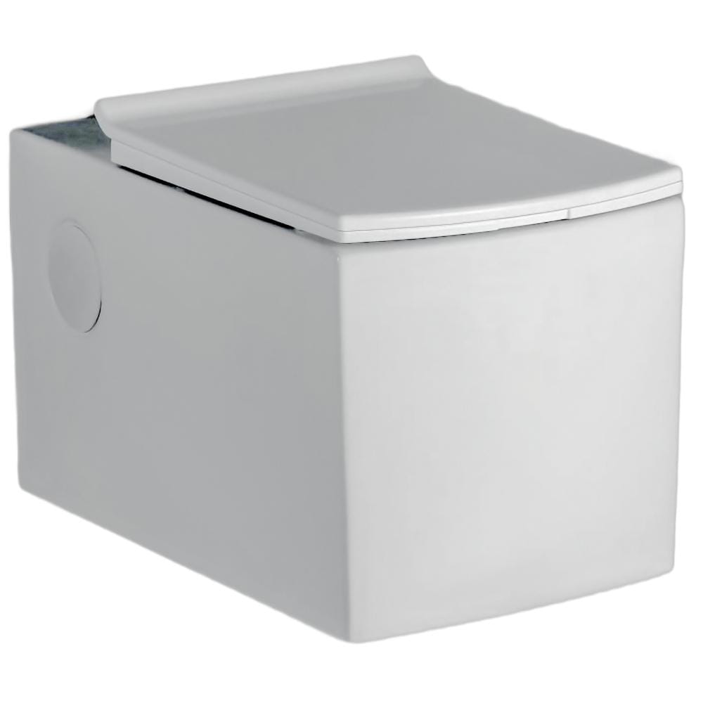 WHC-20121PP Washdown Wall Hung Closet With PP Seat Cover