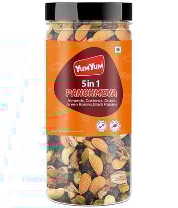Yum Yum Panchmeva 400g I Healthy Trail Mix | Mixed Nuts Healthy Snacks