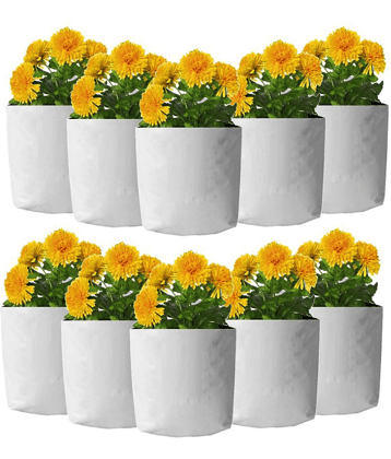Grow bag for home gardening High Quality 150 Micron/600 Gauge | Pack of 10 Bags; Size: 40 x 24 x24 cm