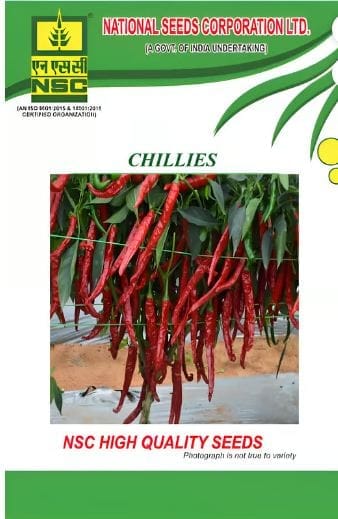 NSC Chilli - KA 10 GM
