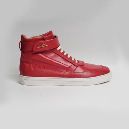ZH I - RED-8