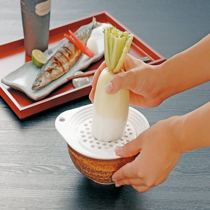 Plastic Grater