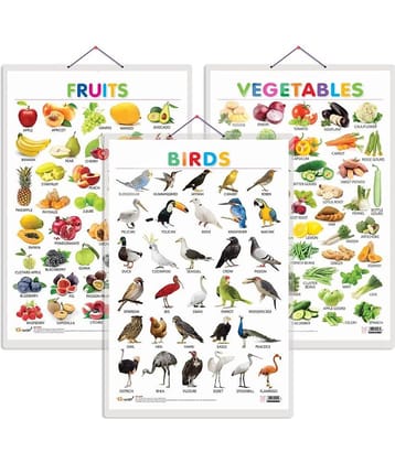 Set of 3 Fruits, Vegetables and Birds Early Learning Educational Charts for Kids | 20"X30" inch |Non-Tearable and Waterproof | Double Sided Laminated | Perfect for Homeschooling, Kindergarten and Nursery Students