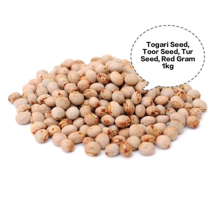 Togari Seed, Toor Seed, Tur Seed, Red Gram Seed, Pigeon Pea Seed 1kg Togari Seed, Toor Seed, Tur Seed, Red Gram Seed, Pigeon Pea Seed 1kg