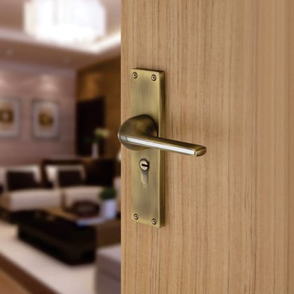 BUCKLER Zinc Alloy-4218-Gold Antique 8 Inch Mortise Handle set-70MM Double Turn Bullet Lock (Gold Antique)