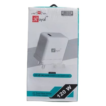 Royal-Charger Power Adapter (120W)