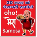 Variety Samosa
