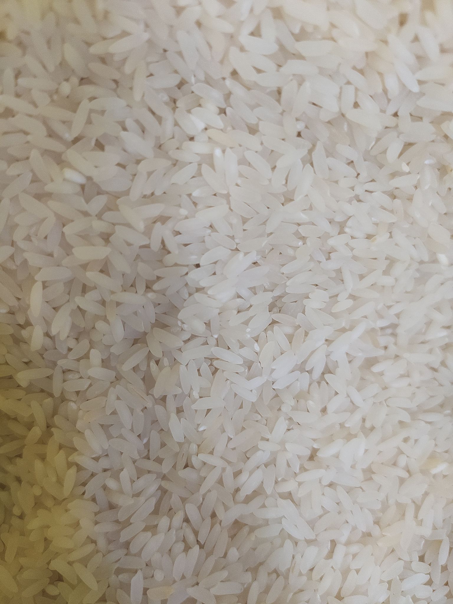 sona mansuri rice