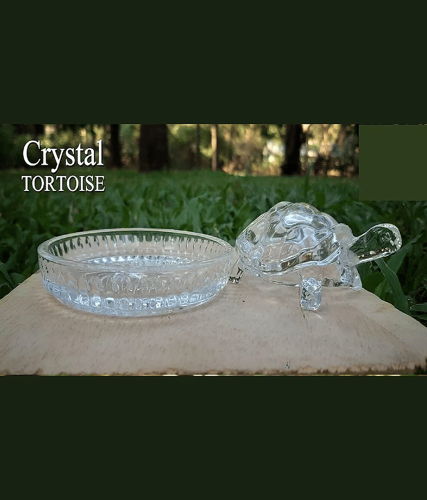 PAYSTORE Crystal Fengshui Tortoise