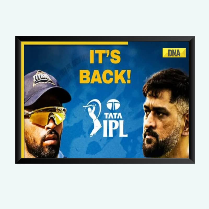 Nokkes Cricket IPL M.S Dhoni CSK Chennai Super King Team Photo Frame 8X12 Inch Size Photo Frame Photo Home Office_msd8